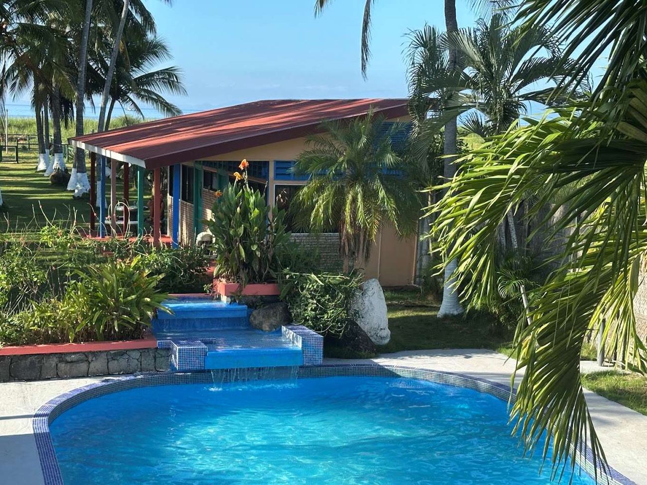 Piscine et jardin tropical